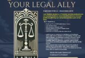 Legal and Financial Consultant