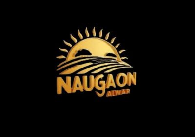 Logo1