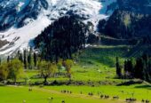 Discover Paradise Best Kashmir Tour Packages