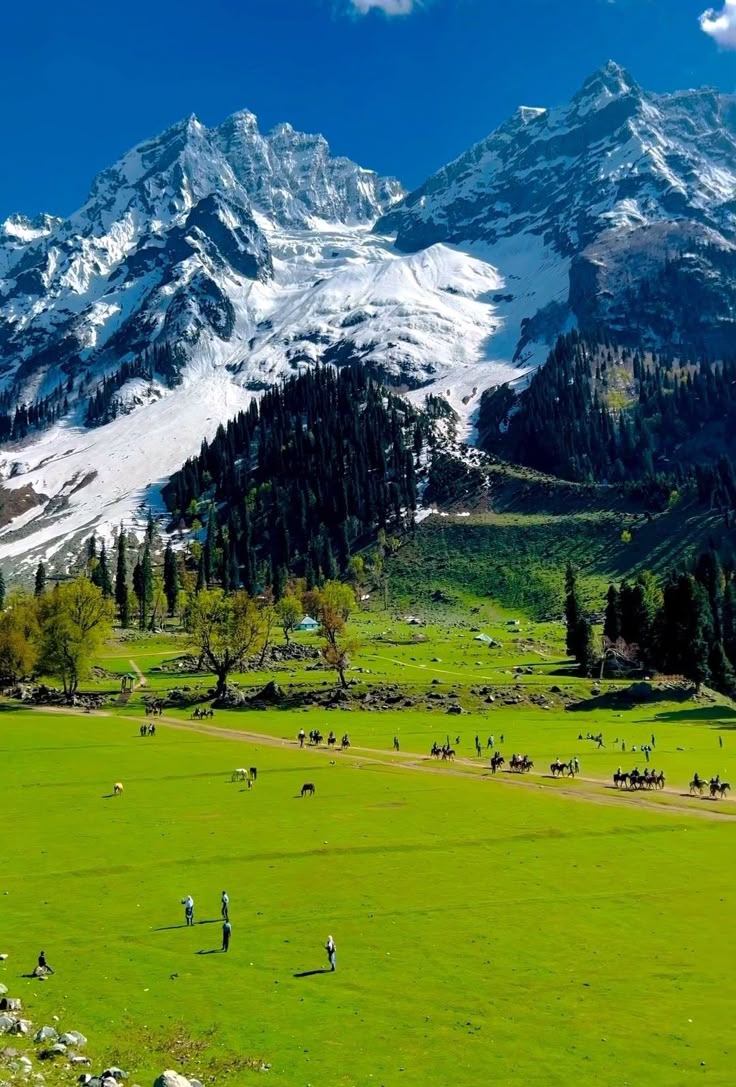 Discover Paradise Best Kashmir Tour Packages