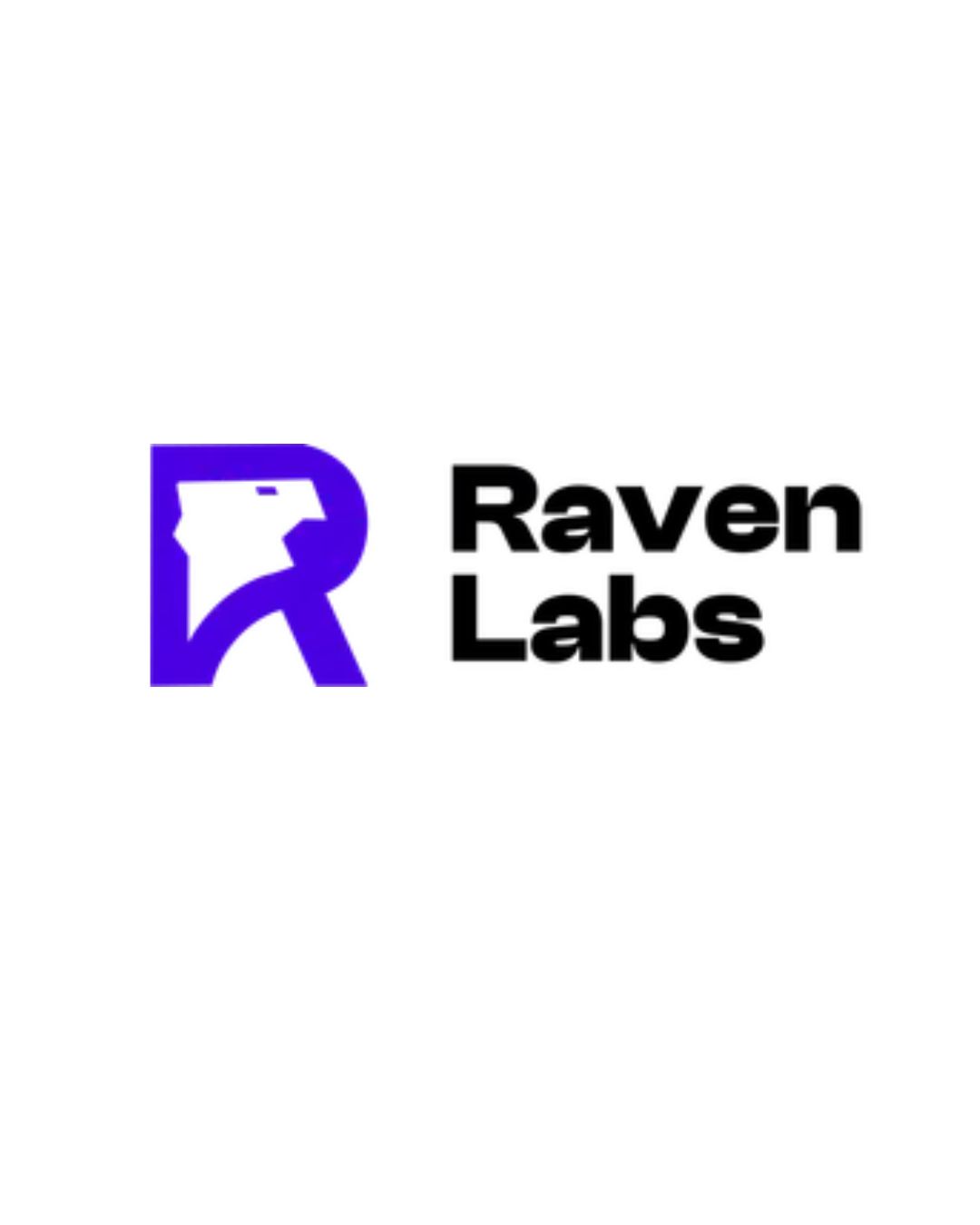 Digital Marketing Agency Melbourne – Raven Labs