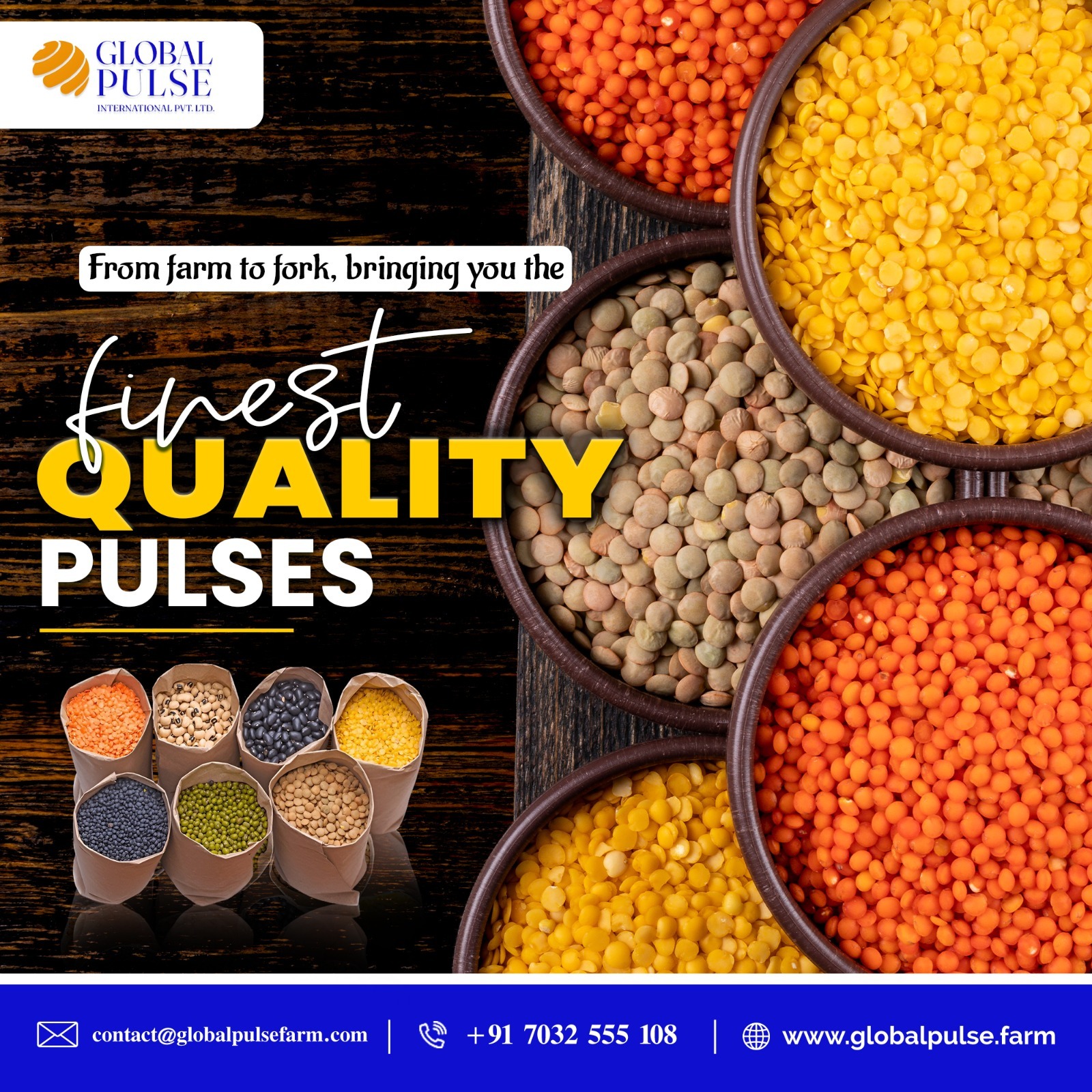 Leading the Pulses Export from India: Why Global Pulse