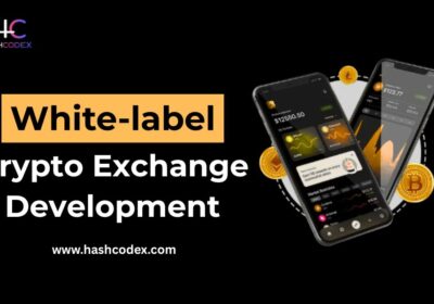 White-label-Crypto-Exchange-Development