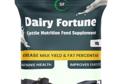 dairyfortune2