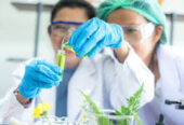 Laboratory Glassware Manufacturers in India