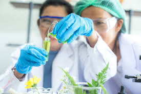 Laboratory Glassware Manufacturers in India