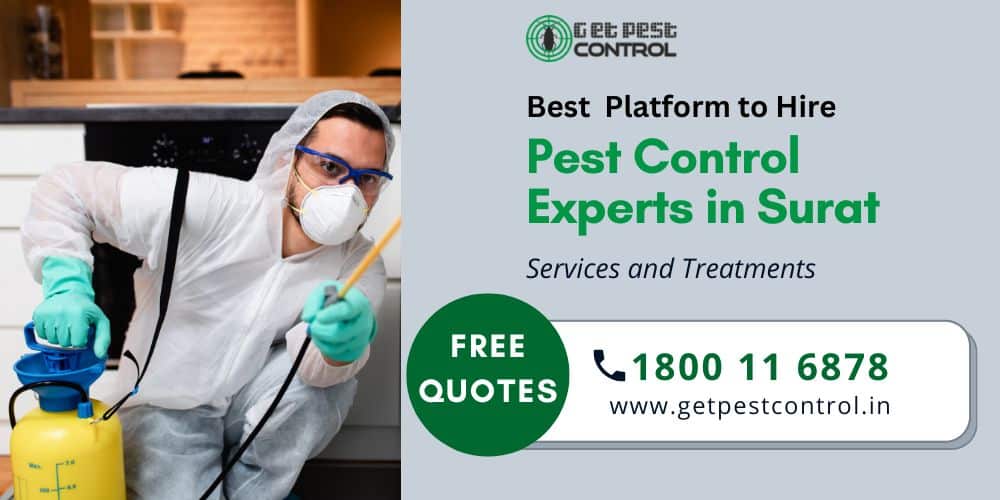Affordable Pest Control Services in Surat