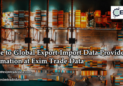 global-export-import-data-provider