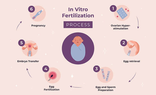 IVF Treatment Cost In Delhi – Dr Rhythm Gupta