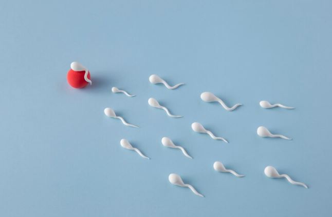 Comprehensive Guide to Male Infertility Treatment