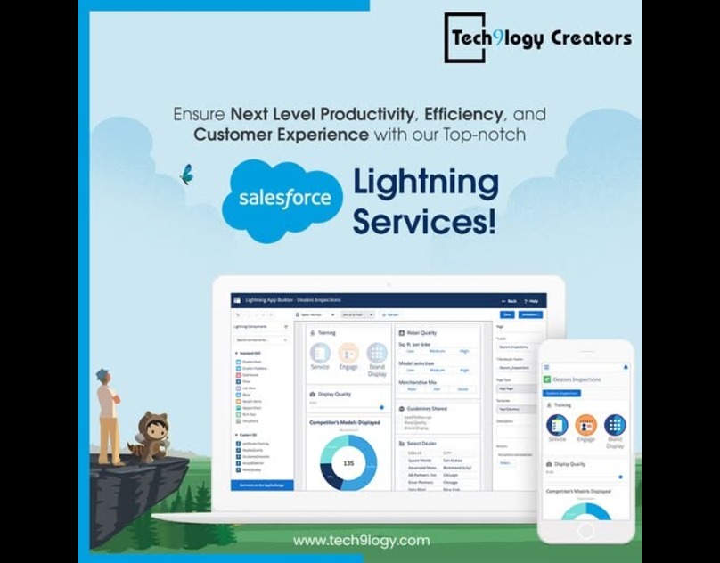 Salesforce Lightning Consultant
