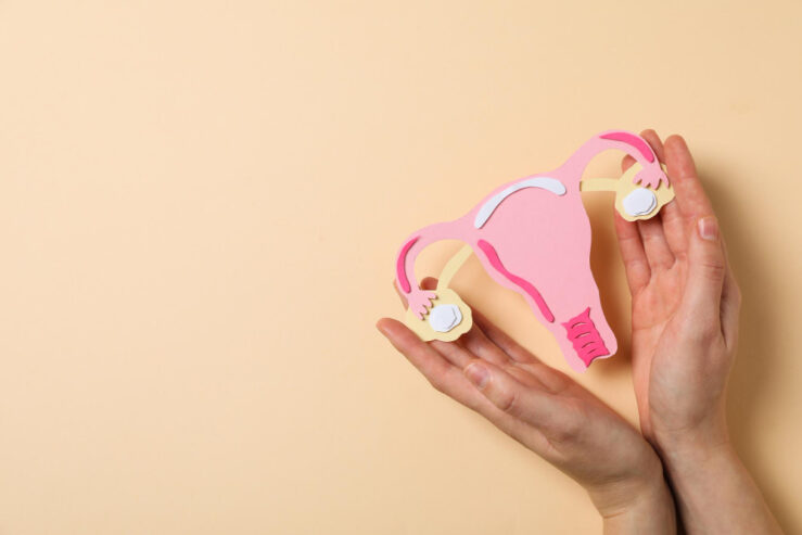IUI Treatment in Noida–Maaeri Fertlity and IVF Centre