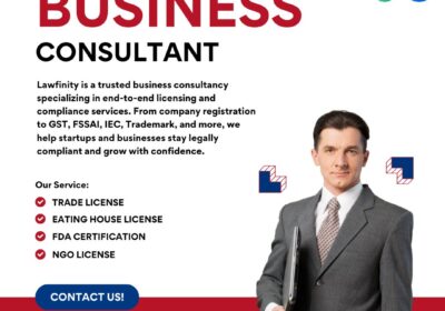 Business-consultant-post-new