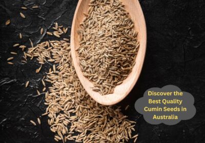 Discover-the-Best-Quality-Cumin-Seeds-in-Australia