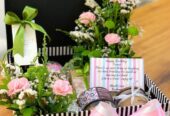 Make Every Occasion Special with Dottedi