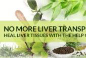 Expert Ayurveda