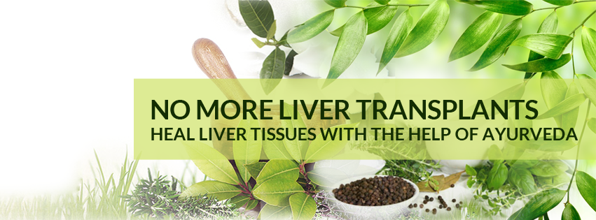 Expert Ayurveda