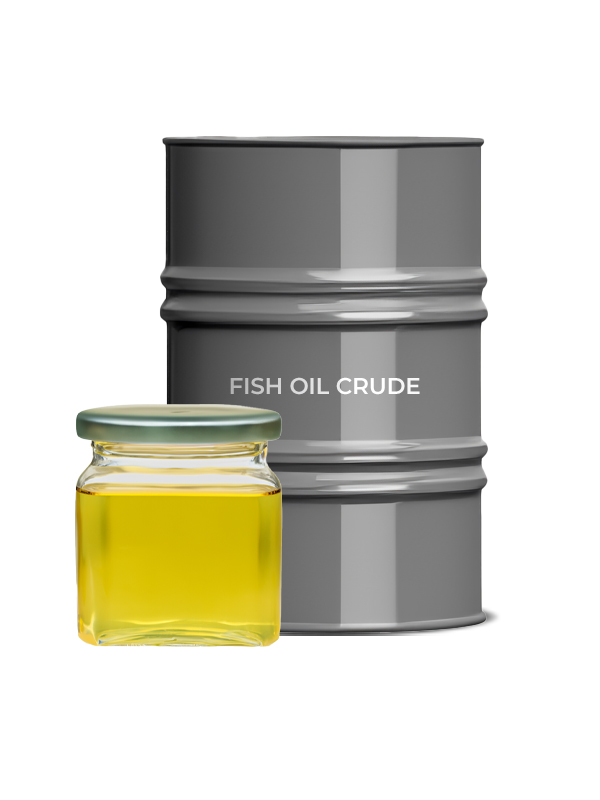 Nauman Sab Oil Company