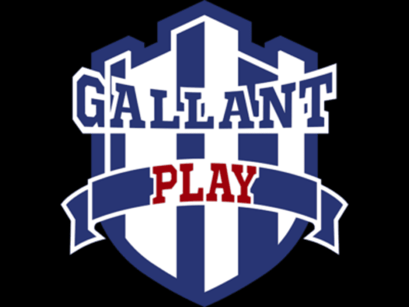 Gallant Play Badminton Academies in Delhi NCR