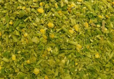 Kaleka