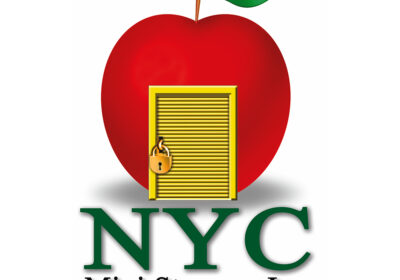 LOGO-1000x1000_nyc-mini-storage
