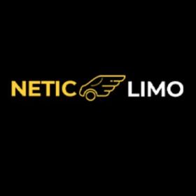 Netic-Limo-Logo