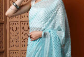 Ready to Wear Saris – The Best Saree for Effortless St