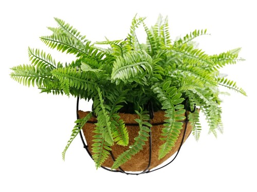 Hanging Artificial Wide Leaf Buxus Flowering Basket 18
