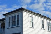 PROFESSIONAL HOUSE PAINTING SERVICES