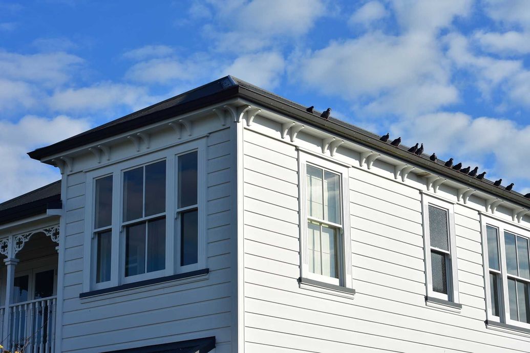 PROFESSIONAL HOUSE PAINTING SERVICES