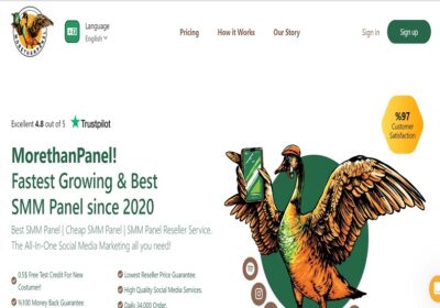 morethenpanel1