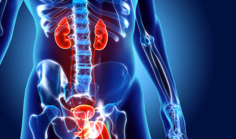 Expert Care by the Best Prostate Specialist in Patna
