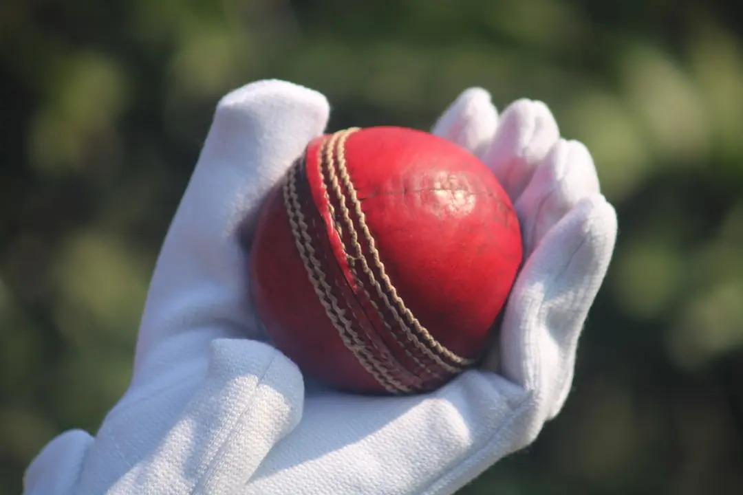 T20Live Provides Instant Data about Cricket