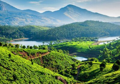 tea-estates-munnar-kerala-india-1919×1080-1