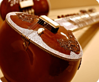 veena