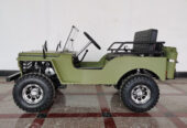 Mini Jeep Gasoline 125cc Jeep Car Buggy Off-road Kart