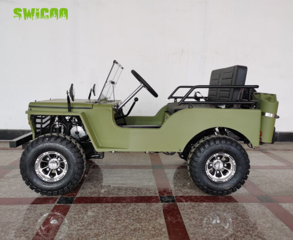 Mini Jeep Gasoline 125cc Jeep Car Buggy Off-road Kart