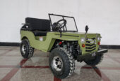 Mini Jeep Gasoline 125cc Jeep Car Buggy Off-road Kart