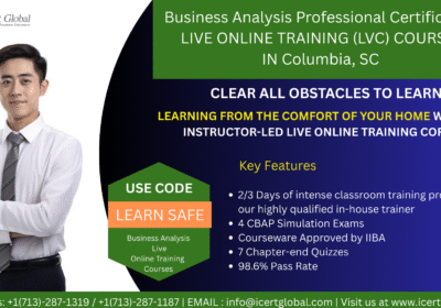 BA-certification-in-Training-Columbia-SC-