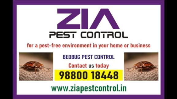 Bed Bugs Pest Treatment | Two services provided 100% r