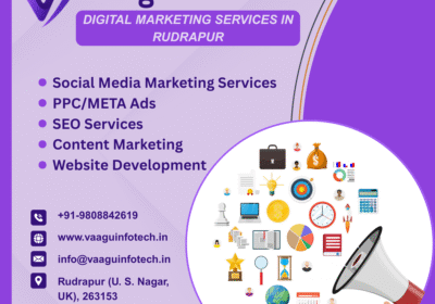 Best-Digital-Marketing-services-in-Ghaziabad-vaagu-infotech