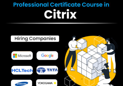 Citrix-Online-Training-copy-1