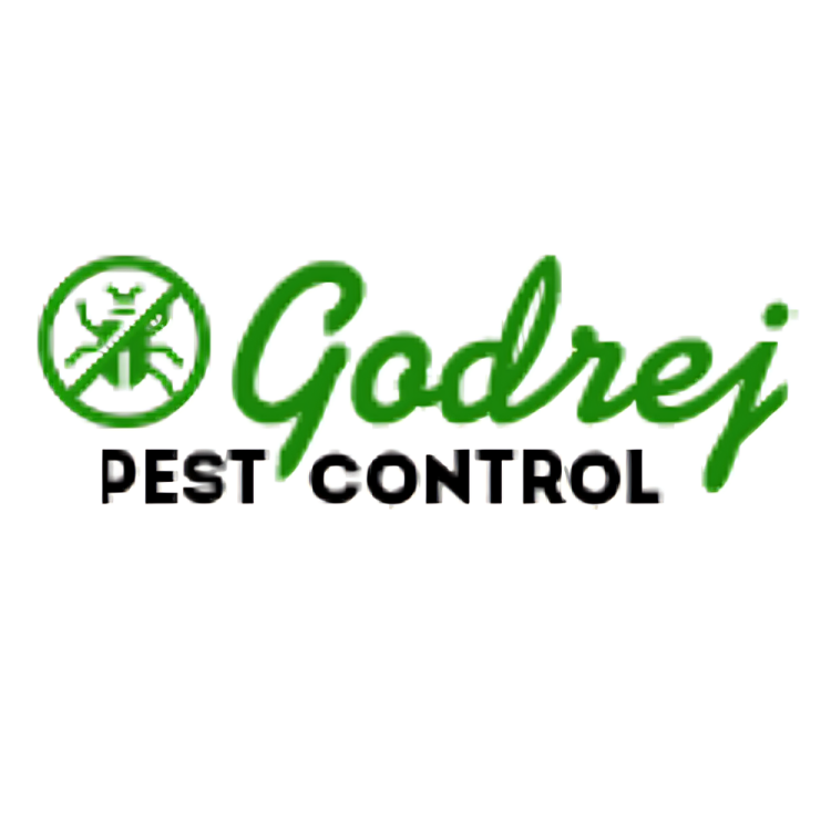 Pest Control Noida