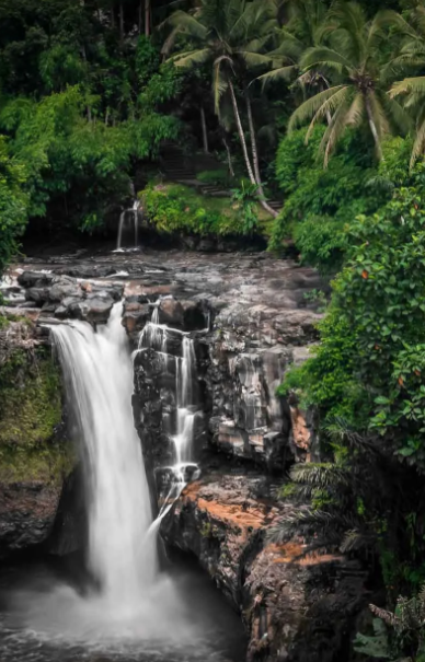 Kerala Tour Packages – Explore God’s Own Country with