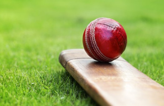 Get Your Online ID Cricket with AmiriBook and Start