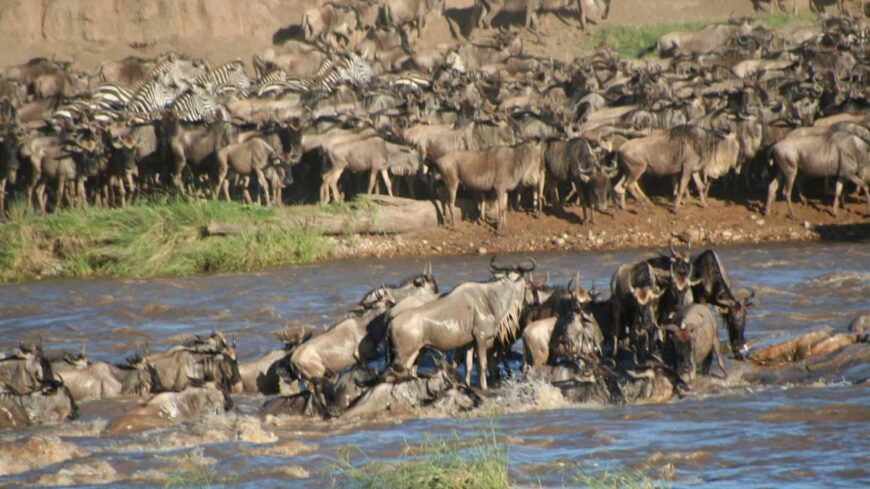 Kenya & Tanzania Safari with Beach Holiday