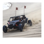 ESA Tours Dune Buggy Dubai