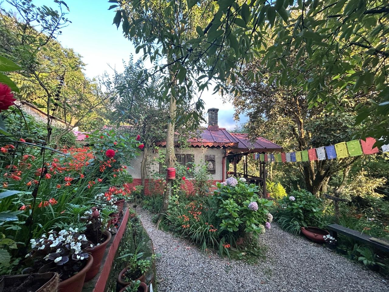 Best Hotel in Nainital Uttarakhand | Homestay in Pango