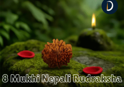 8-mukhi-nepali-rudraksha