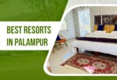 Tatva Bir Resorts